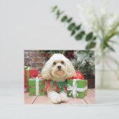 Weihnachten - Havanese - Mason (Stehend Vorderseite)