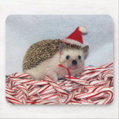 Weihnachten Hedgie Mousepad (Vorne)