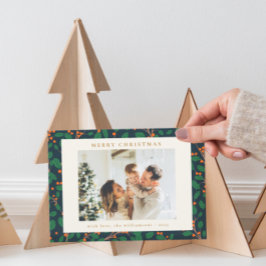 Weihnachten Heilige botanische Vegetation Zwei Fot