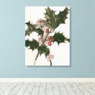 Weihnachten, Holly-Pflanze mit Roten Berries Leinwanddruck