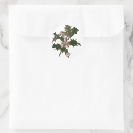 Weihnachten, Holly-Pflanze mit Roten Berries Runder Aufkleber (Tasche)