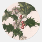 Weihnachten, Holly-Pflanze mit Roten Berries Runder Aufkleber (Vorderseite)