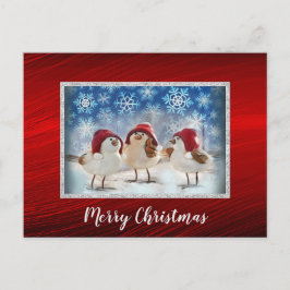 Weihnachten Hühner Schnee Farbe Weihnachten Postkarte