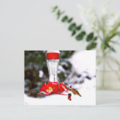 Weihnachten Hummingbird und Schnee (Stehend Vorderseite)