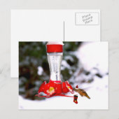 Weihnachten Hummingbird und Schnee (Vorne/Hinten)