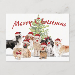 Weihnachten Hund liebt Freude Weihnachtsmannmütze Postkarte
