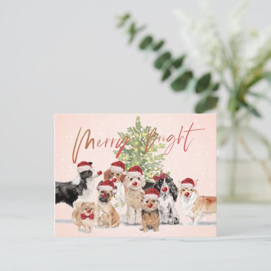 Weihnachten Hund liebt Freude Weihnachtsmannmütze Postkarte (Stehend Vorderseite)