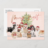 Weihnachten Hund liebt Freude Weihnachtsmannmütze Postkarte (Vorne/Hinten)