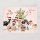 Weihnachten Hund liebt Freude Weihnachtsmannmütze Postkarte (Vorderseite)