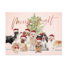 Weihnachten Hund liebt Freude Weihnachtsmannmütze