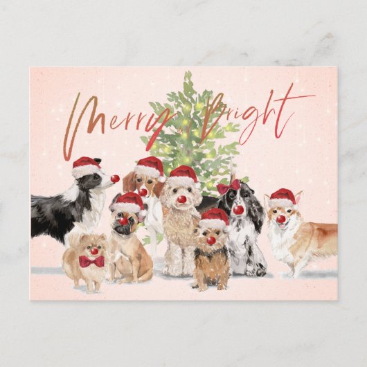 Weihnachten Hund liebt Freude Weihnachtsmannmütze Postkarte (Vorderseite)