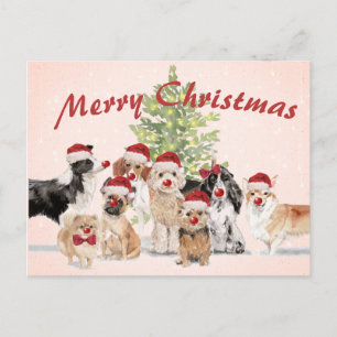 Weihnachten Hund liebt Freude Weihnachtsmannmütze Postkarte
