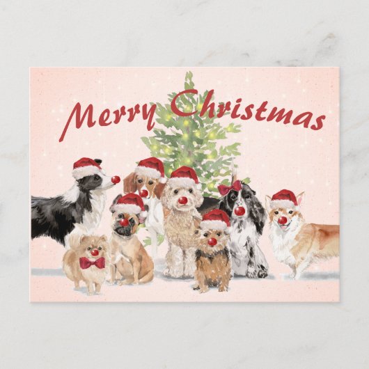 Weihnachten Hund liebt Freude Weihnachtsmannmütze Postkarte (Vorderseite)