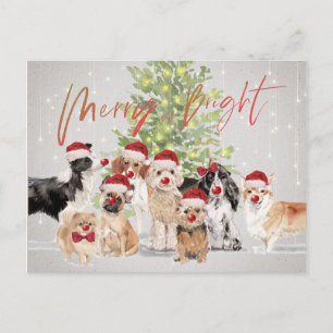 Weihnachten Hund liebt Merry Bright Santa Postkarte