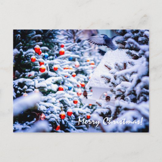 Weihnachten Idyll elegant anpassbar Postkarte (Vorderseite)