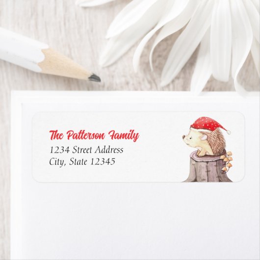 Weihnachten Igel (Insitu)