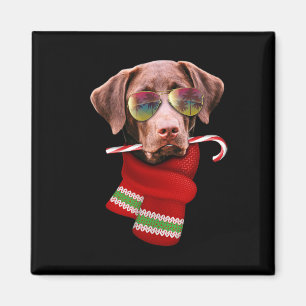 Weihnachten im Juli-Shirt Labrador Sungles Hundeli Magnet