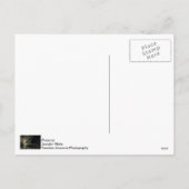 Weihnachten im Klyde Warren Park (Rückseite)