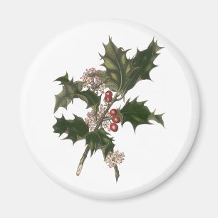Weihnachten im Vintage-Stil, Stechpalmenpflanze mi Magnet