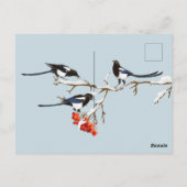 Weihnachten im Wasser Postkarte (Rückseite)