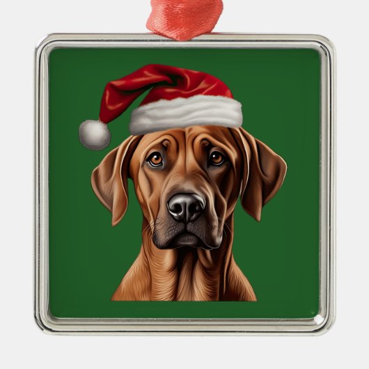 Weihnachten im Wasser Rhodesian Ridgeback Ornament (Vorne)