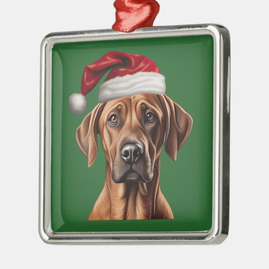 Weihnachten im Wasser Rhodesian Ridgeback Ornament (Links)