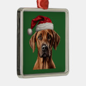 Weihnachten im Wasser Rhodesian Ridgeback Ornament Aus Metall (Rechts)