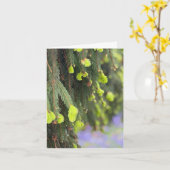 Weihnachten Immergrüner Kiefernbaum Schnee Winter Karte (Gelbe Blume)