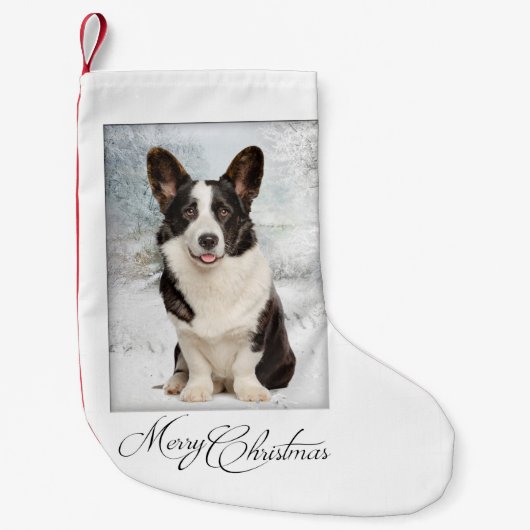 Weihnachten in Corgi Kleiner Weihnachtsstrumpf (Vorderseite)