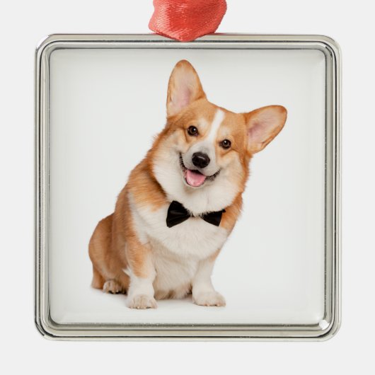 Weihnachten in Corgi Ornament Aus Metall (Vorne)