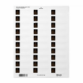 Weihnachten in Daley Plaza Chicago (Vorne)