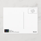 Weihnachten in Midtown Postkarte (Rückseite)