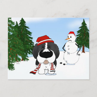 Weihnachten in Neufundland