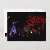 Weihnachten in Silver Dollar City (Vorne/Hinten)