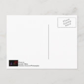 Weihnachten in Silver Dollar City (Rückseite)