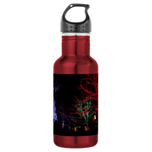 Weihnachten in Silver Dollar City Wasserflasche