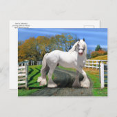 "Weihnachten in Splendor" Postkarte (Vorne/Hinten)