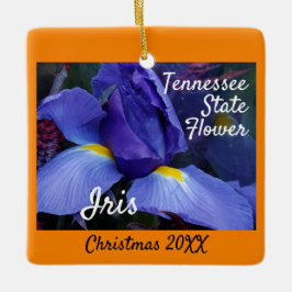 Weihnachten in Tennessee Staat Blume Iris Keramikornament