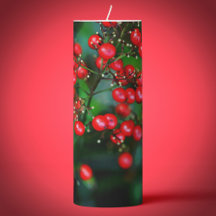 Weihnachten ist die Berere!