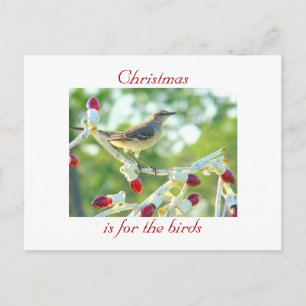 Weihnachten ist für die Vögel