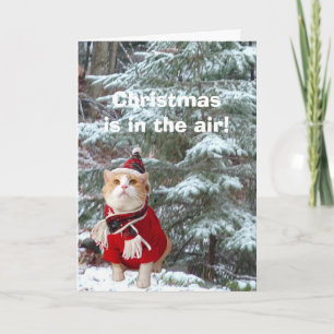 Weihnachten ist in der Luft!