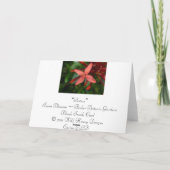 Weihnachten Ixora Blossom (Rückseite)