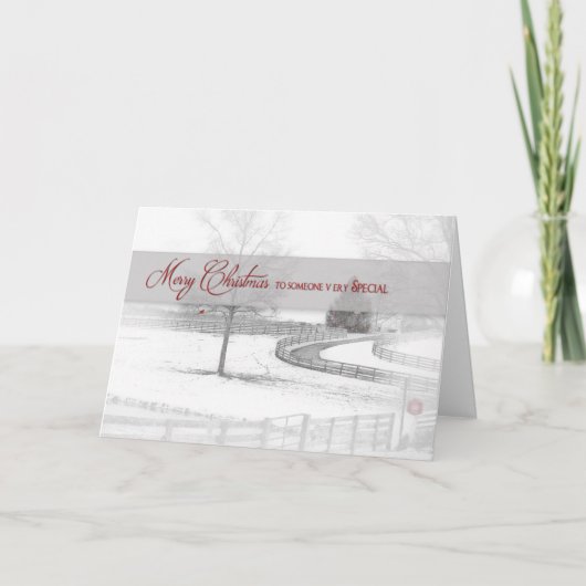 Weihnachten - Jemand Special/Pferderasse Winter/Sc (Vorderseite)