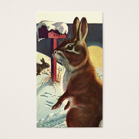 Weihnachten, Kaninchen in einer Winterschneewiese (Vorderseite)