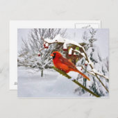 Weihnachten, Kardinal Bird, Schnee, Postkarte (Vorne/Hinten)