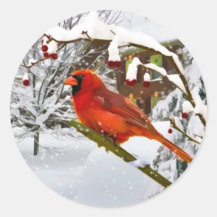 Weihnachten, Kardinal Bird, Schnee, Sticker