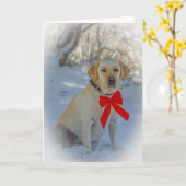 Weihnachten Karte (Gelbe Blume)