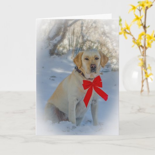 Weihnachten Karte (Gelbe Blume)