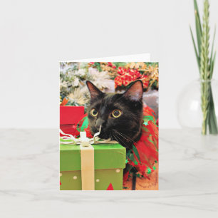 Weihnachten - Katze - Bentley
