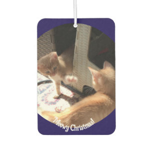 Weihnachten , Katzen Foto , Autolufterfrischer